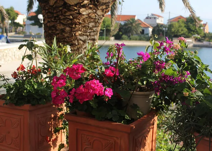 Apartman By The Sea Poljana, Ugljan - 8450