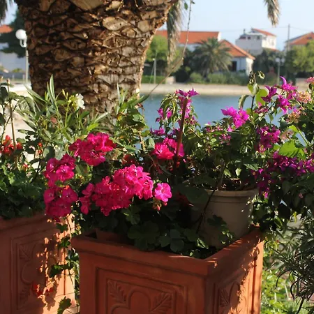דירה By The Sea Poljana, Ugljan - 8450